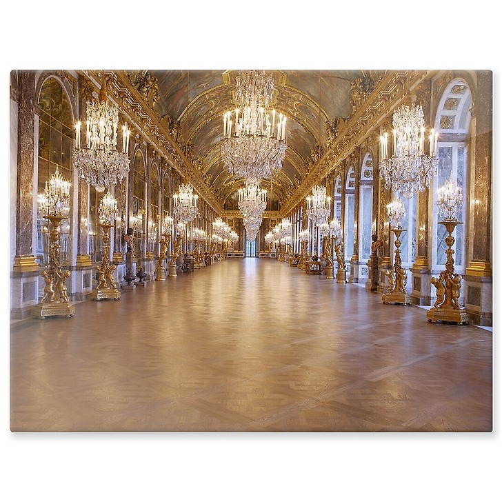 La galerie des glaces (état après restauration en 2007) (panneaux aluminium)