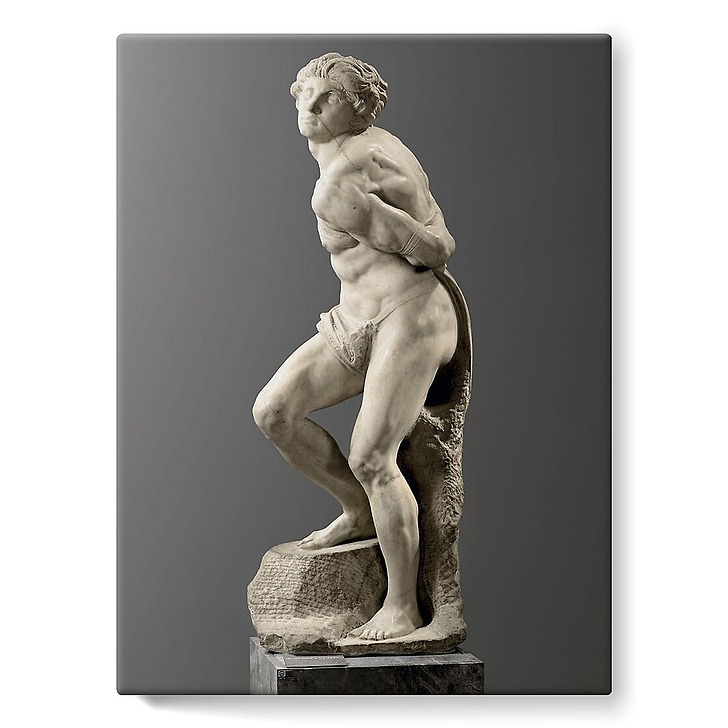 Esclave rebelle (toiles sur châssis)