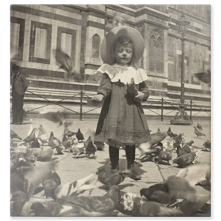 In front of the Dome, Bernadette gives grain to the pigeons (aluminium panels)