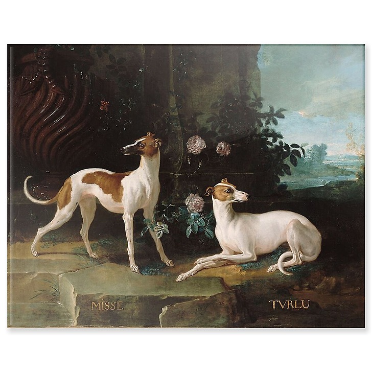 Misse et Turlu (panneaux acryliques)