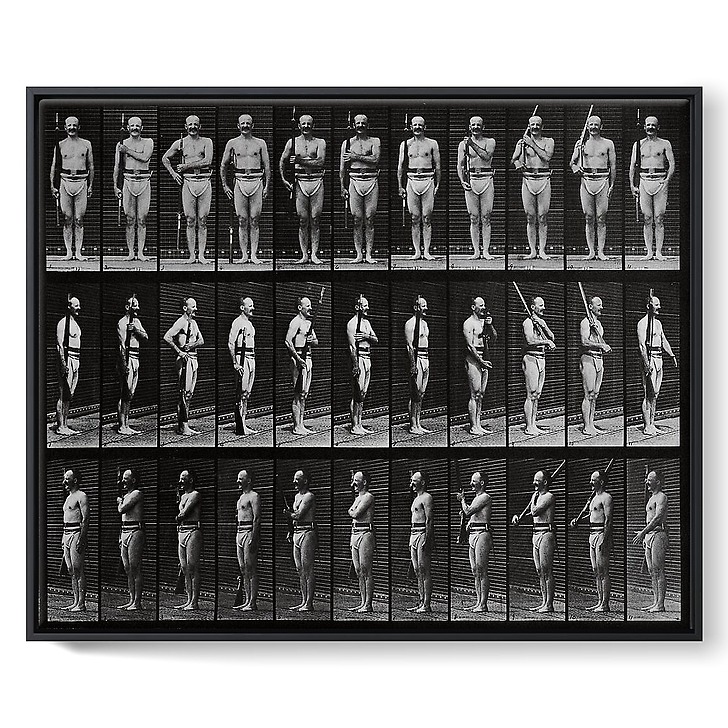 Animal Locomotion: Man In Pelvis Cloth Positioning Bayonet (framed canvas)