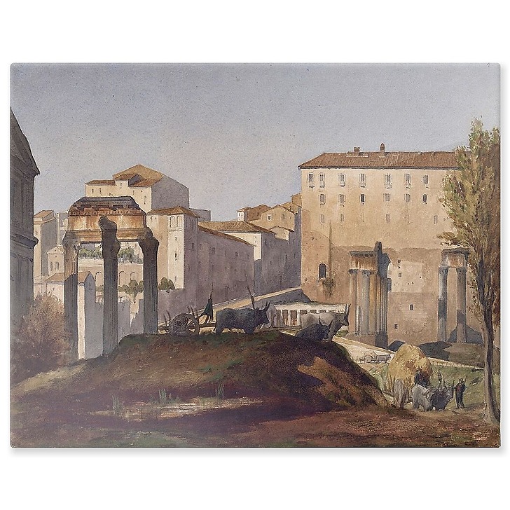 Album from Italy, antiquities from Rome. Forum and Palatine. View of the Forum from the Tabularium side (aluminium panels)