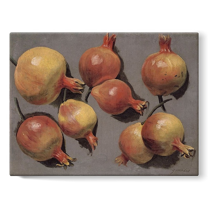 Study of grenades (stretched canvas)