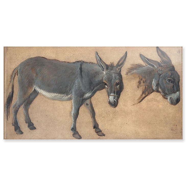 Donkey study (acrylic panels)