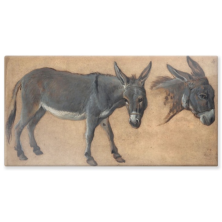 Donkey study (aluminium panels)