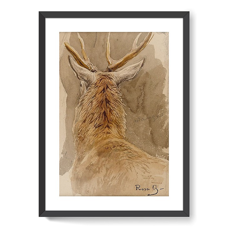 Etude de cerf (affiches d'art encadrées)