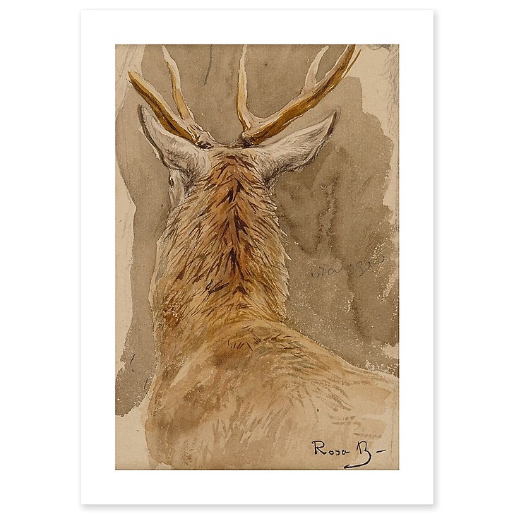 Deer study (canvas without frame)