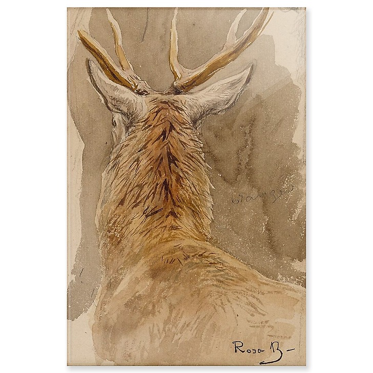 Deer study (acrylic panels)