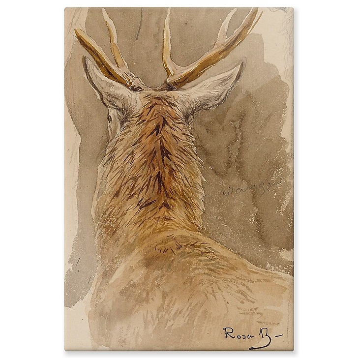 Deer study (aluminium panels)