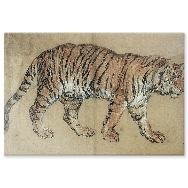 Tiger walking to the right (aluminium panels)