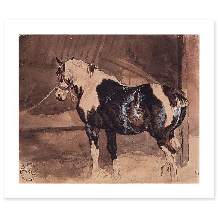Cheval pie au repos à l'écurie (affiches d'art)