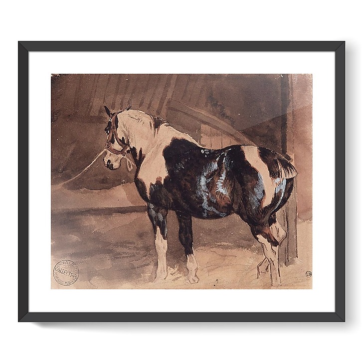 Cheval pie au repos à l'écurie (affiches d'art encadrées)