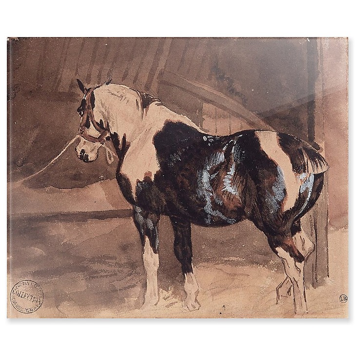 Piebald horse at rest in the stable (acrylic panels)