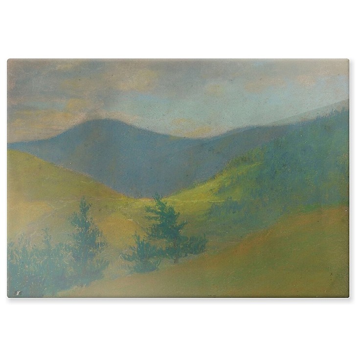 Mountain landscape with fir trees in the foreground (aluminium panels)