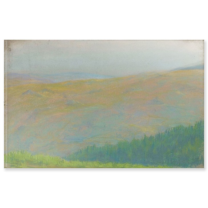 Paysage de montagne avec forêt de sapins au premier plan (panneaux acryliques)