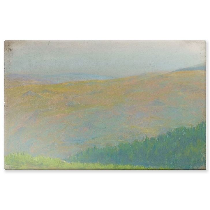 Paysage de montagne avec forêt de sapins au premier plan (panneaux aluminium)