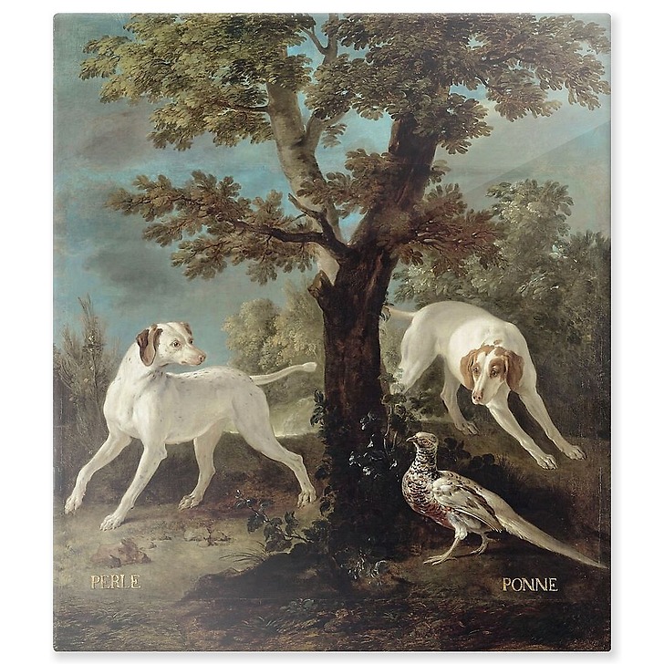 Perle et Ponne, chiennes de la meute de Louis XV (panneaux aluminium)