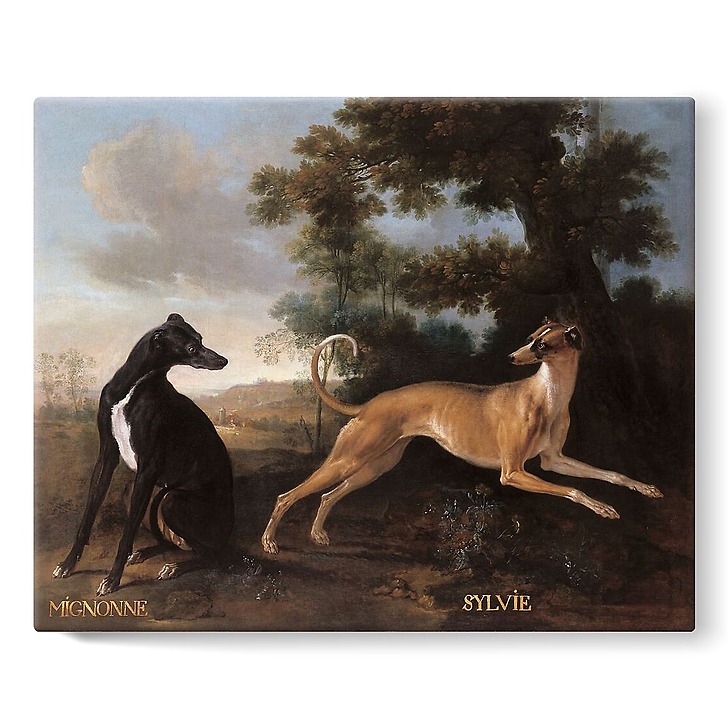 Mignonne and Sylvie, dogs from the pack of Louis XV oudry (stretched canvas)