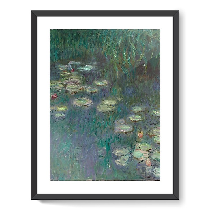 The Water Lilies: Morning (framed art prints)