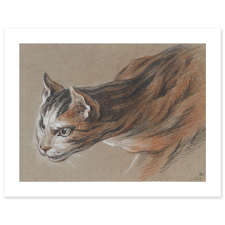 Cat projecting his head forward (canvas without frame)
