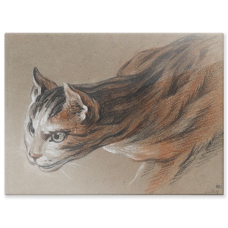 Chat projetant sa tête en avant (panneaux aluminium)