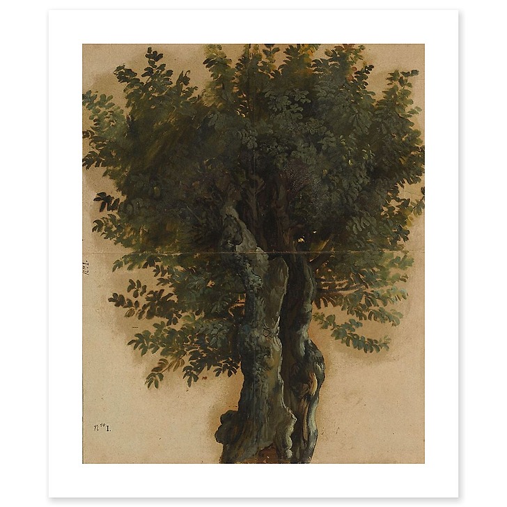 Arbres avec un tronc ouvert (toiles sans cadre)