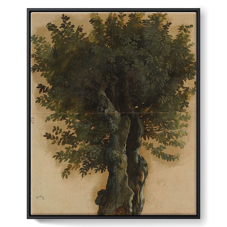 Arbres avec un tronc ouvert (toiles encadrées)