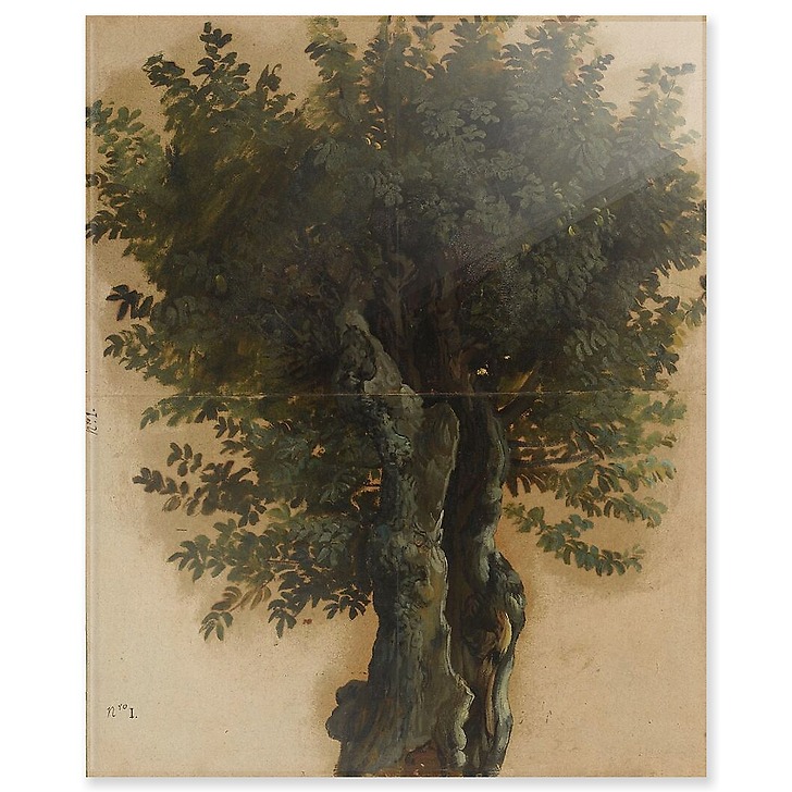 Arbres avec un tronc ouvert (panneaux acryliques)