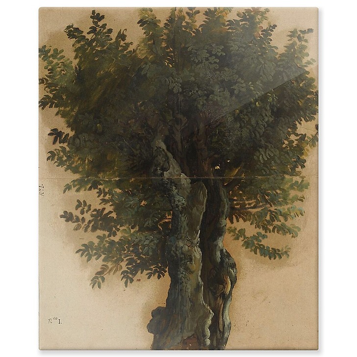 Arbres avec un tronc ouvert (panneaux aluminium)