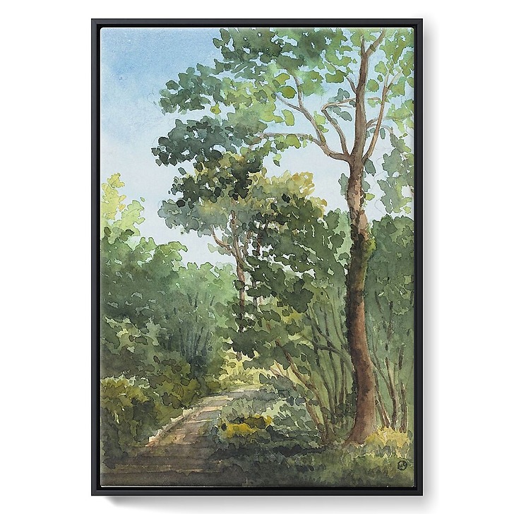 Bois de l'Etoile à Bois Guillaume (près de Rouen) (toiles encadrées)