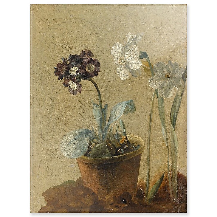 Still life of narcissus and stachys byzantina (acrylic panels)