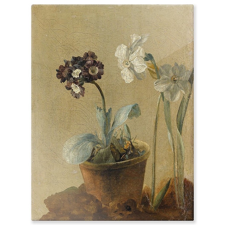 Still life of narcissus and stachys byzantina (aluminium panels)