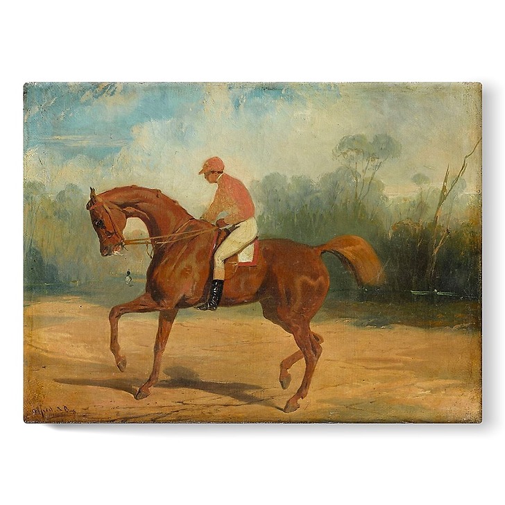 Racehorse and his jockey (stretched canvas)