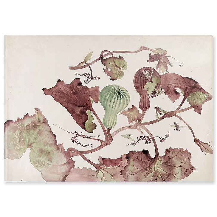 Courge et guêpes (panneaux acryliques)