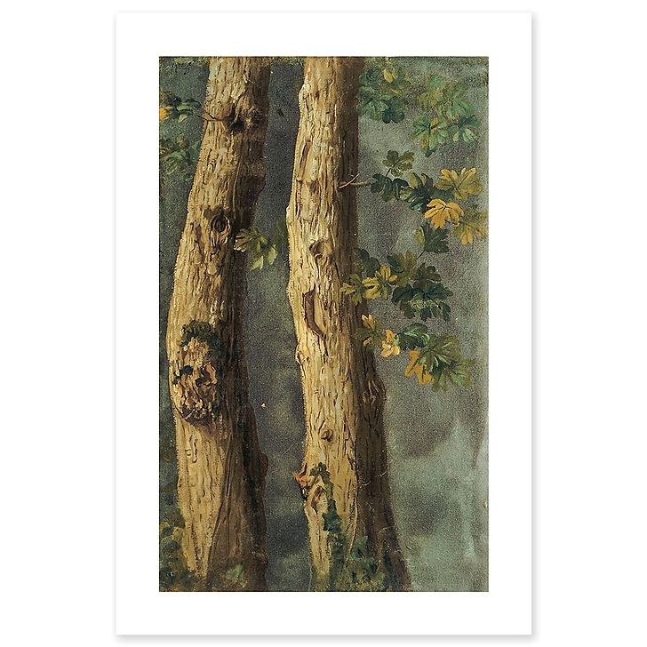 Deux troncs d'arbres avec feuillages et branche de lierre (toiles sans cadre)