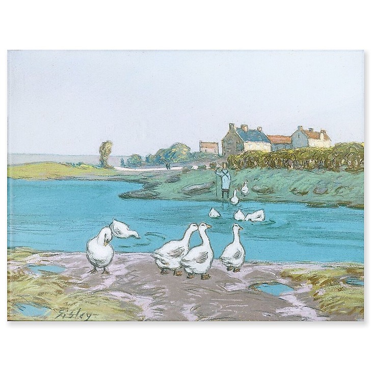 La Mare aux oies (panneaux acryliques)
