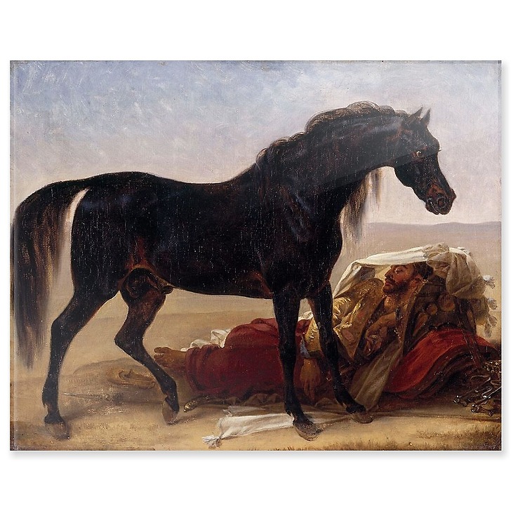 Cheval arabe (panneaux acryliques)