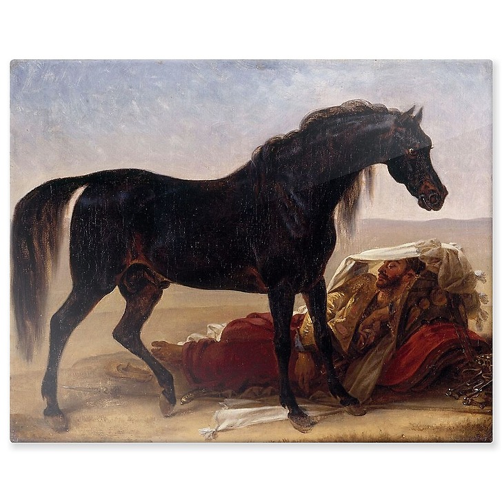 Arab horse (aluminium panels)