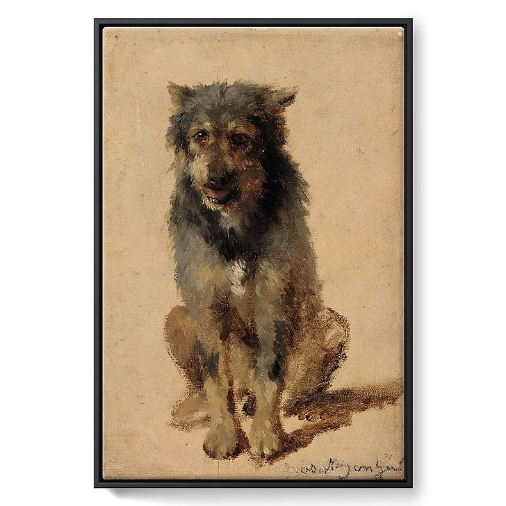 Chien (toiles encadrées)