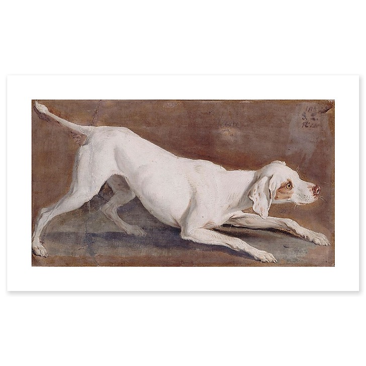 Etude de chienne blanche "Tane" (toiles sans cadre)