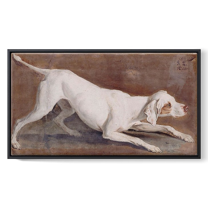 Study of white dog "Tane" (framed canvas)