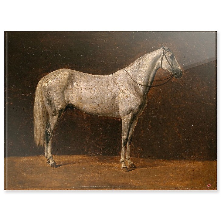 Napoleon's horse: "The Sahara" (acrylic panels)