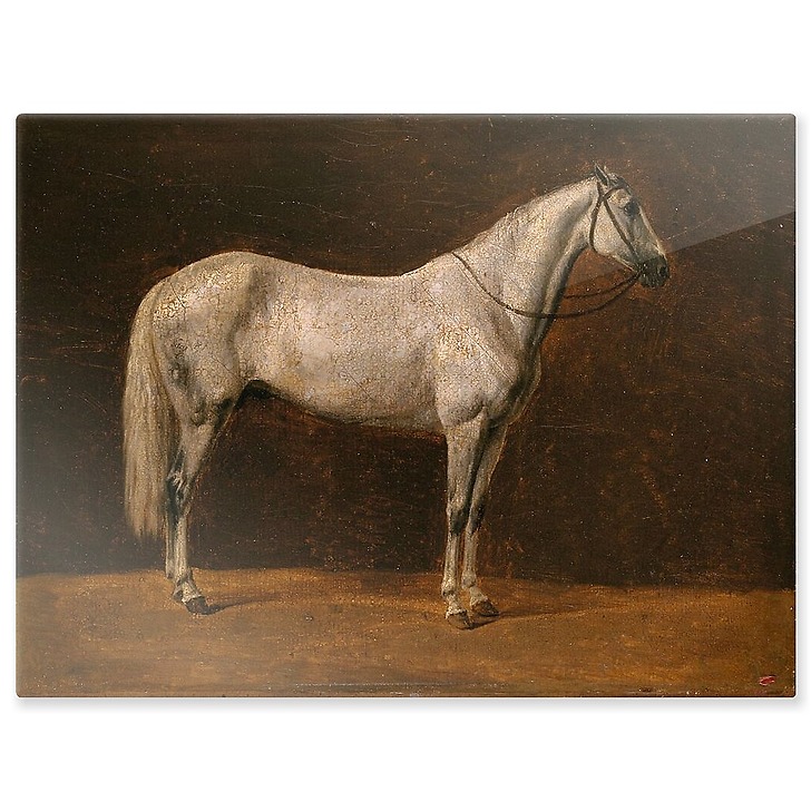 Napoleon's horse: "The Sahara" (aluminium panels)