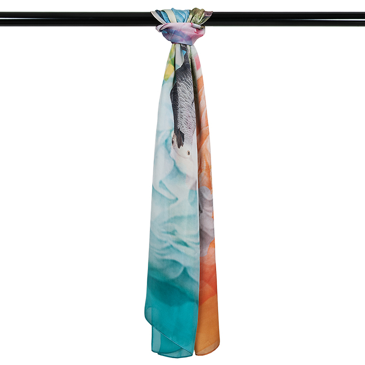 Etole aux perroquets