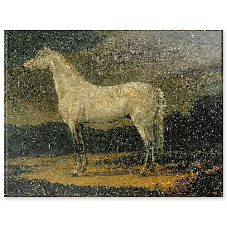 Cheval de Napoléon "le Vizir" (panneaux acryliques)