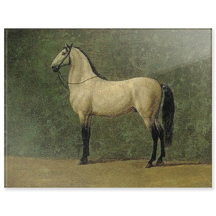Cheval de Napoléon 1er "le Familier" (panneaux acryliques)
