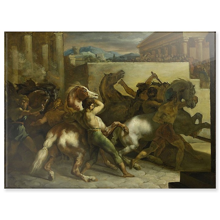 Free horse racing in Rome (acrylic panels)