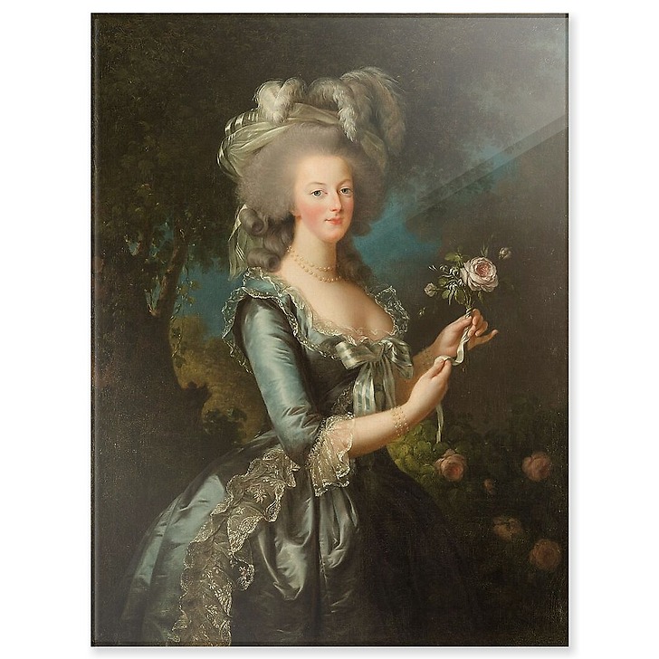 Queen Marie-Antoinette said "à la Rose" (acrylic panels)