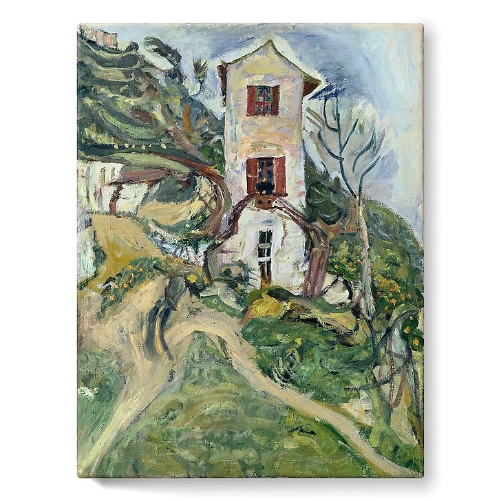The white house (stretched canvas)