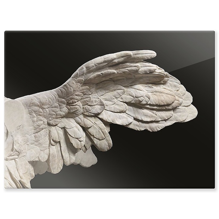 La Victoire de Samothrace (panneaux aluminium)